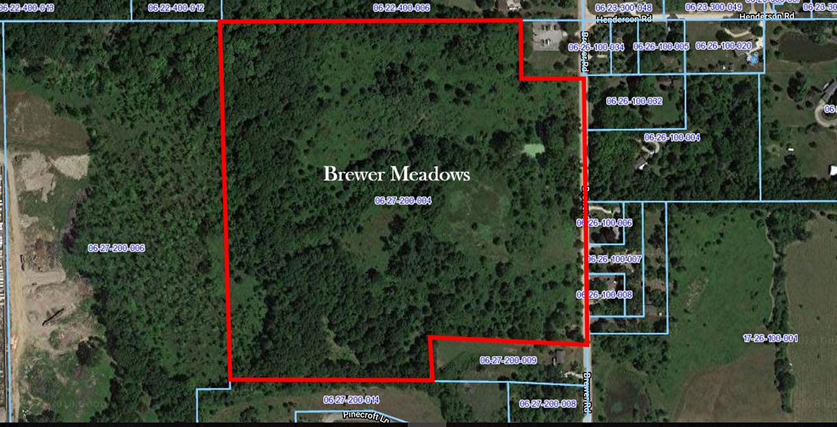 Brewer Meadows